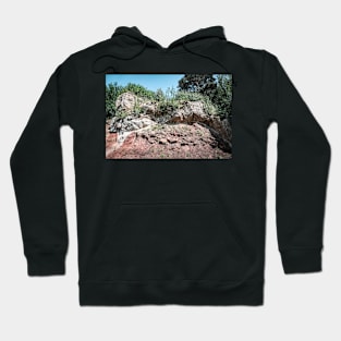 Noerdlinger Ries Hoodie